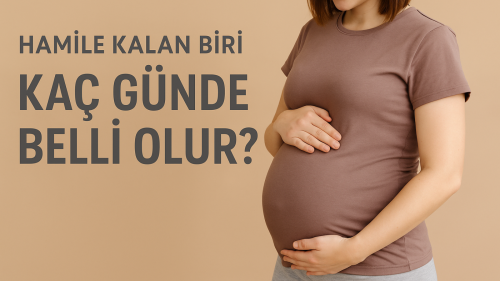 Hamile Kalan Biri Kaç Günde Belli Olur?